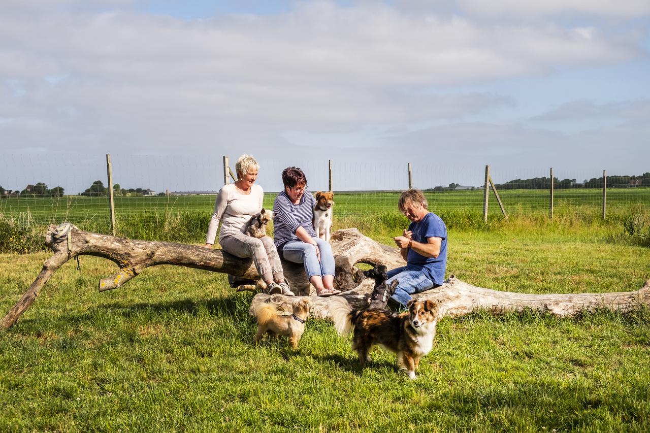 Hotel, Restaurant, Cafe Pharisaeerhof - Nordseeurlaub Mit Hund Nordstrand Exterior foto